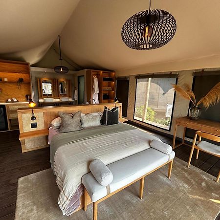 Addo Elephant Safari Lodge - Bellevue Forest Reserve Paterson Kültér fotó