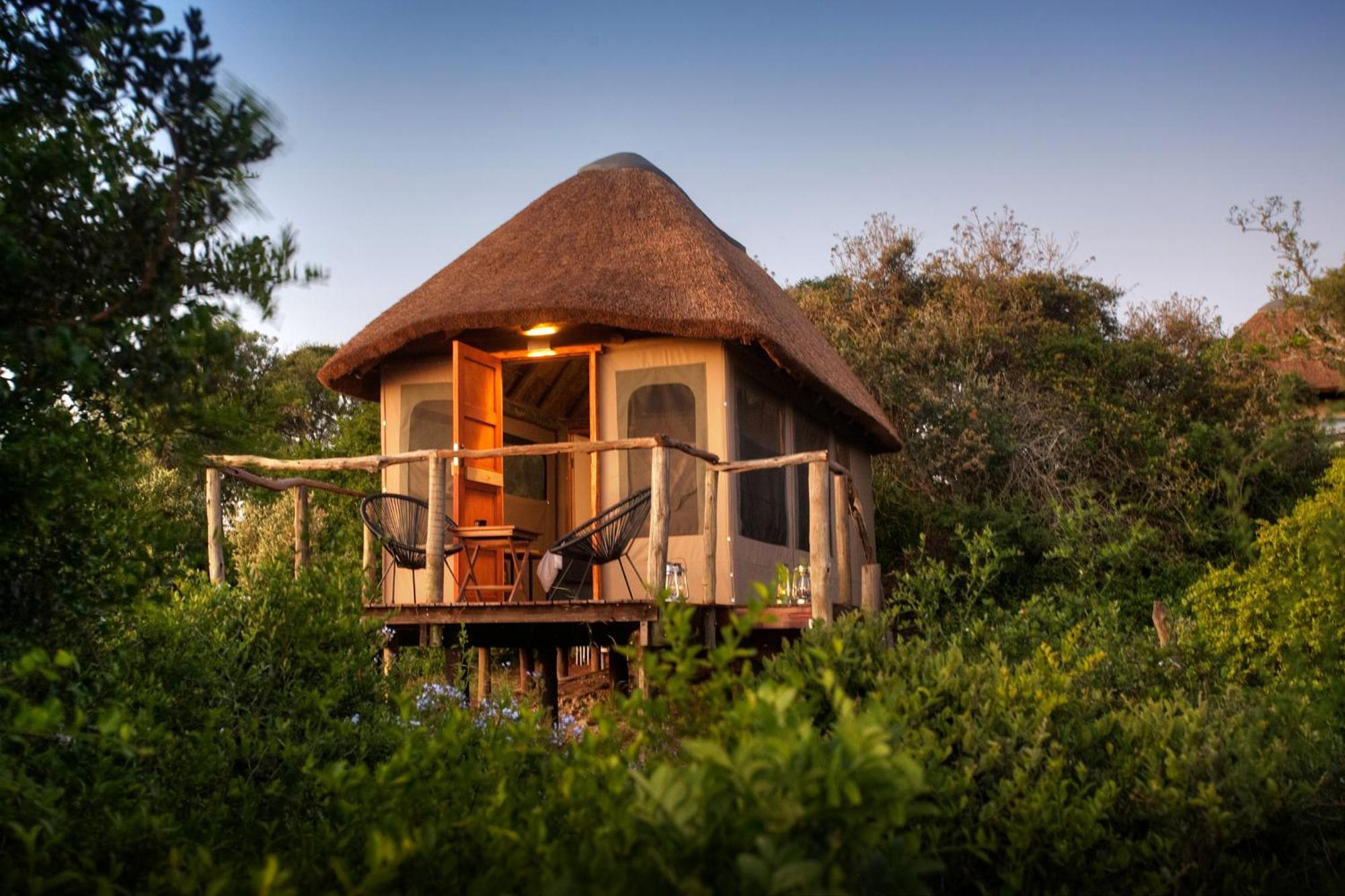Addo Elephant Safari Lodge - Bellevue Forest Reserve Paterson Kültér fotó