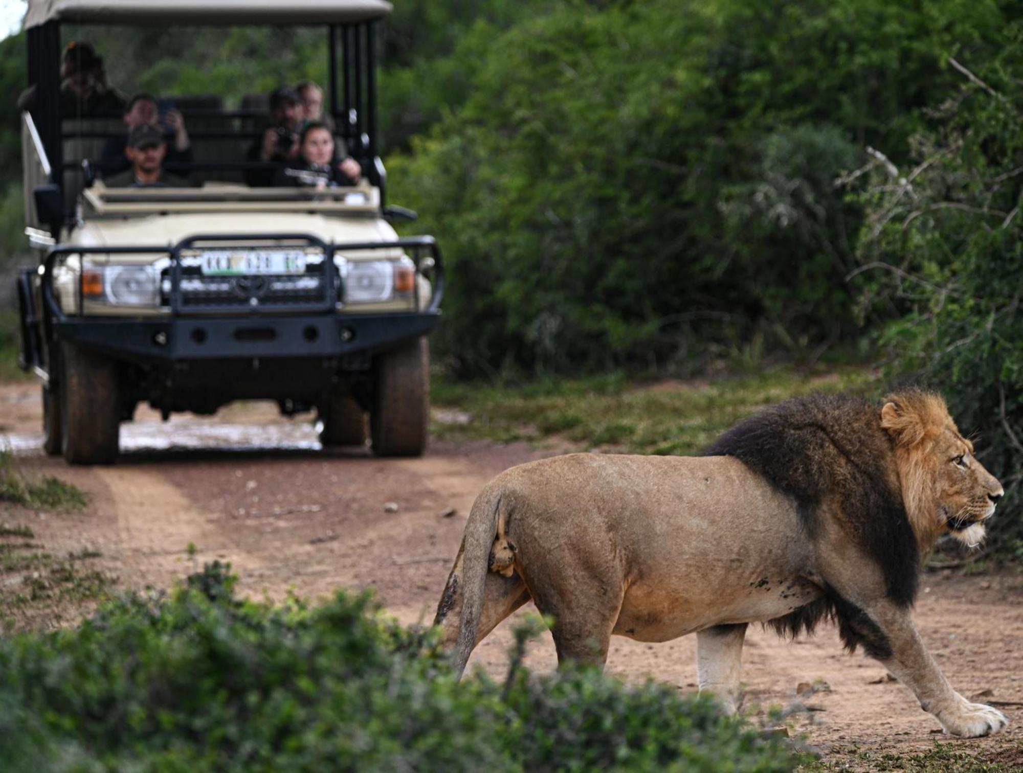 Addo Elephant Safari Lodge - Bellevue Forest Reserve Paterson Kültér fotó