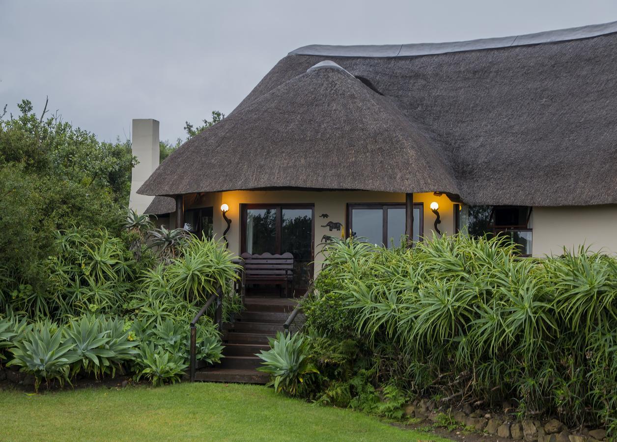 Addo Elephant Safari Lodge - Bellevue Forest Reserve Paterson Kültér fotó