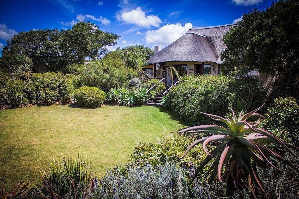 Addo Elephant Safari Lodge - Bellevue Forest Reserve Paterson Kültér fotó
