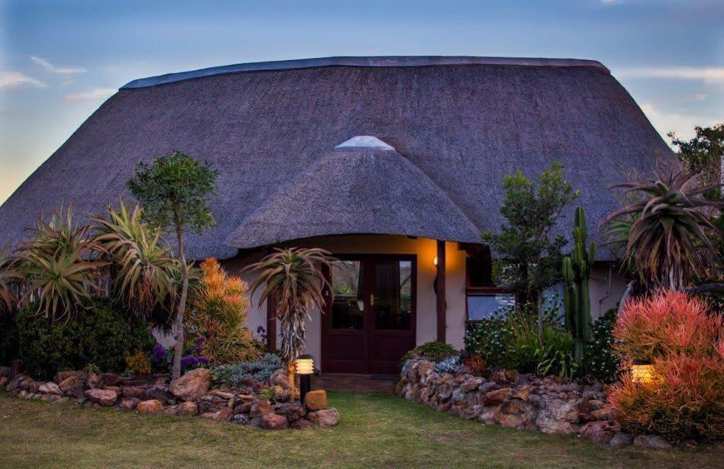 Addo Elephant Safari Lodge - Bellevue Forest Reserve Paterson Kültér fotó