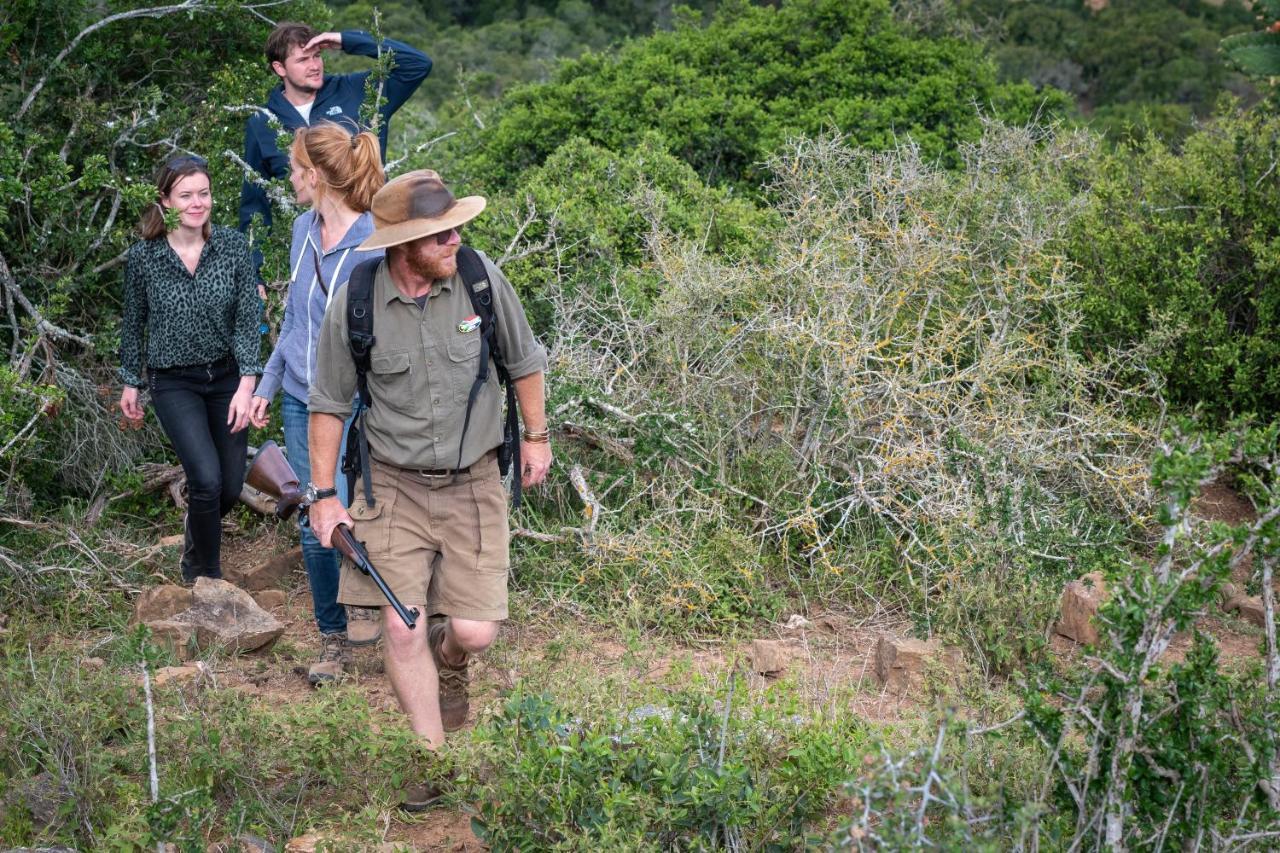 Addo Elephant Safari Lodge - Bellevue Forest Reserve Paterson Kültér fotó