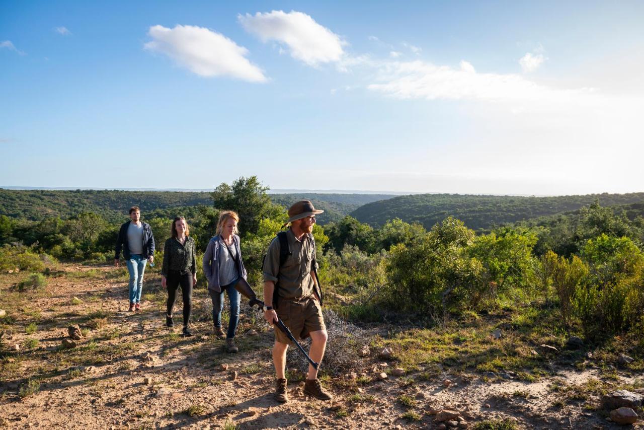Addo Elephant Safari Lodge - Bellevue Forest Reserve Paterson Kültér fotó