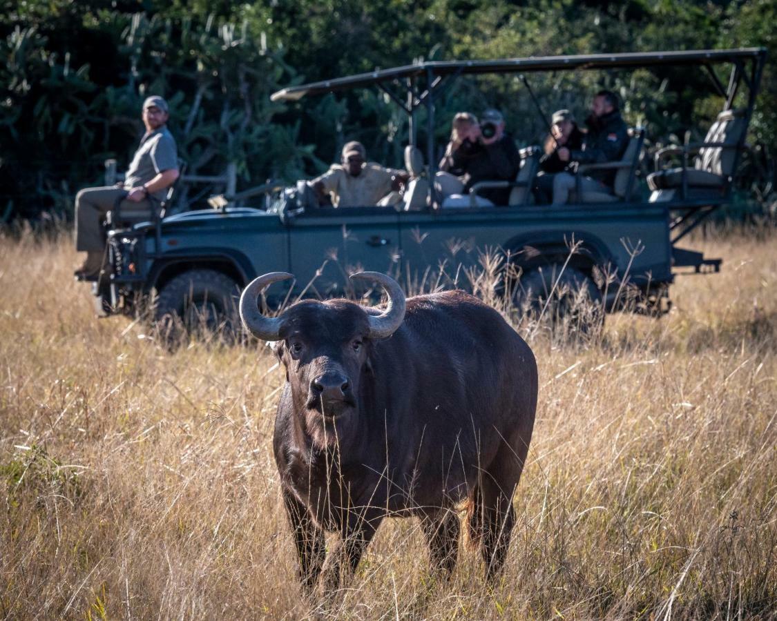 Addo Elephant Safari Lodge - Bellevue Forest Reserve Paterson Kültér fotó