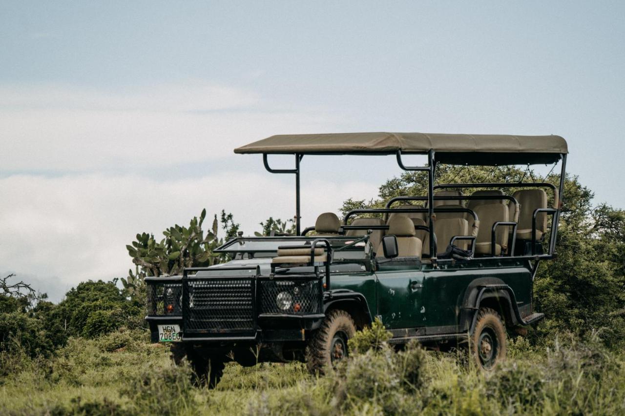 Addo Elephant Safari Lodge - Bellevue Forest Reserve Paterson Kültér fotó